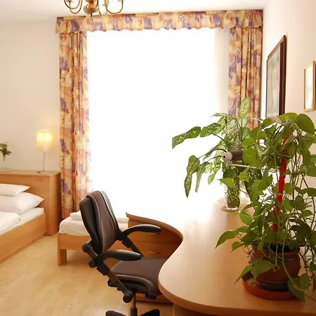 Cozy Homestay